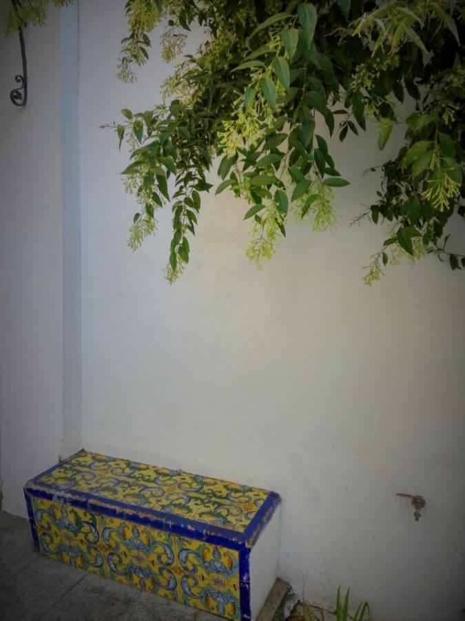 Apartment Alacas Sevilla Eksteriør billede