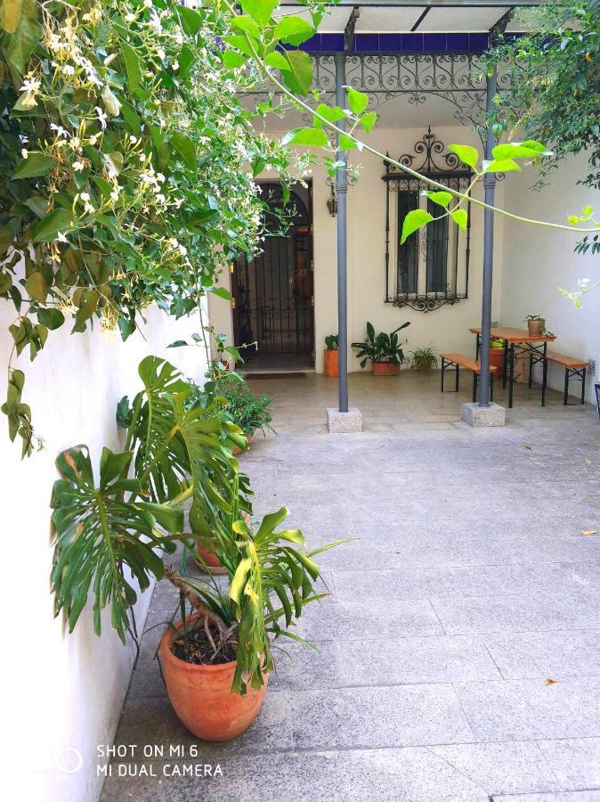 Apartment Alacas Sevilla Eksteriør billede