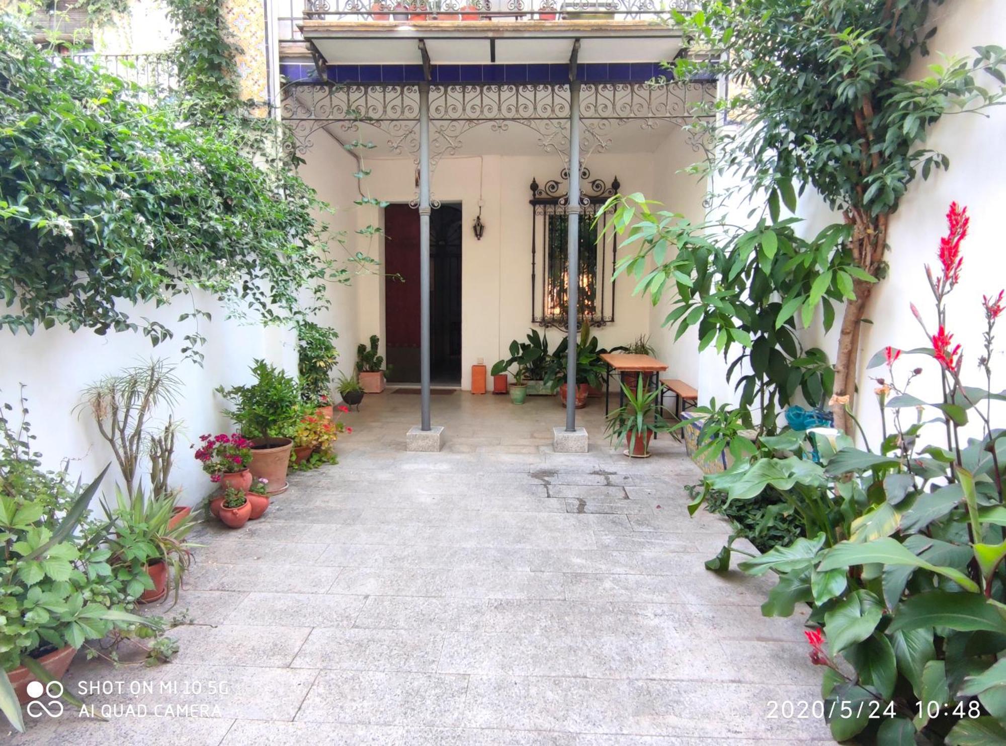 Apartment Alacas Sevilla Eksteriør billede